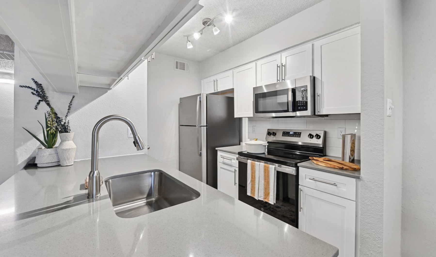 Where Life Finds Its Perfect Balance